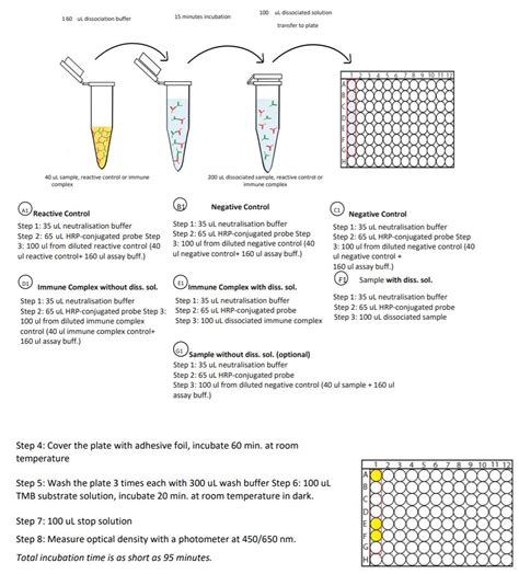 anti infliximab elisa kit|ab237659 anti.